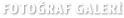 Fotoğraf Galeri