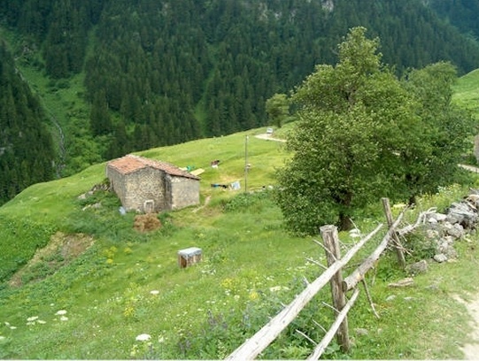 Tunceli Şehir Görselleri