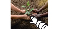 Michelin ve Enviro’dan sürdürülebilirlik için iş birliği 
