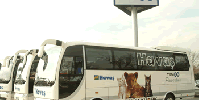 Havaş'ın Seçimi Temsa