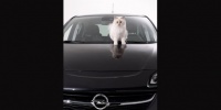 Opel Corsa ve Choupette Karl Lagerfeld için poz verdi
