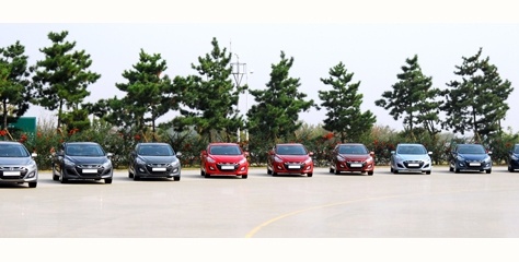  Hyundai Dünya Çevre gününü bütün bir yıl kutlayacak