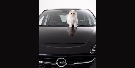 Opel Corsa ve Choupette Karl Lagerfeld için poz verdi