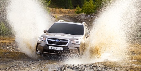 Subaru'dan fırsatlar