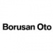 Borusan Oto’dan kullanılmış otoda 12 ay % 0 faiz 
